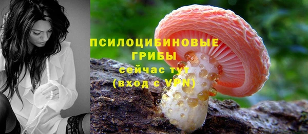 PSILOCYBIN Киреевск